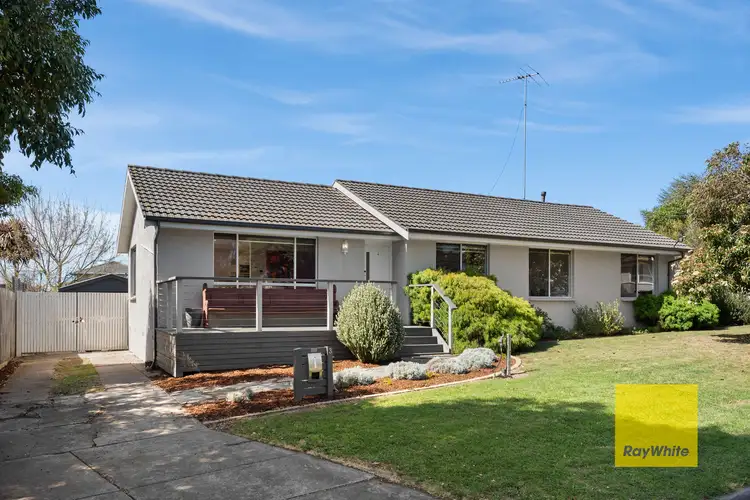 3 Fairfield Avenue, Belmont VIC 3216