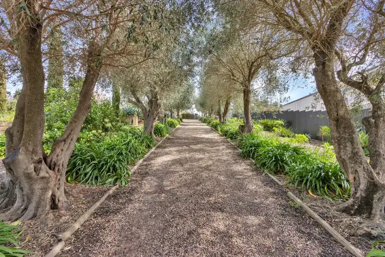 Fifth view of Homely house listing, 6 Howard Street, Angaston SA 5353