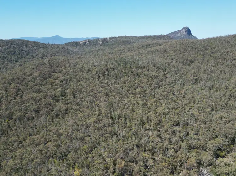 Fourth view of Homely rural property listing, "Mountain View", Berrigal NSW 2390