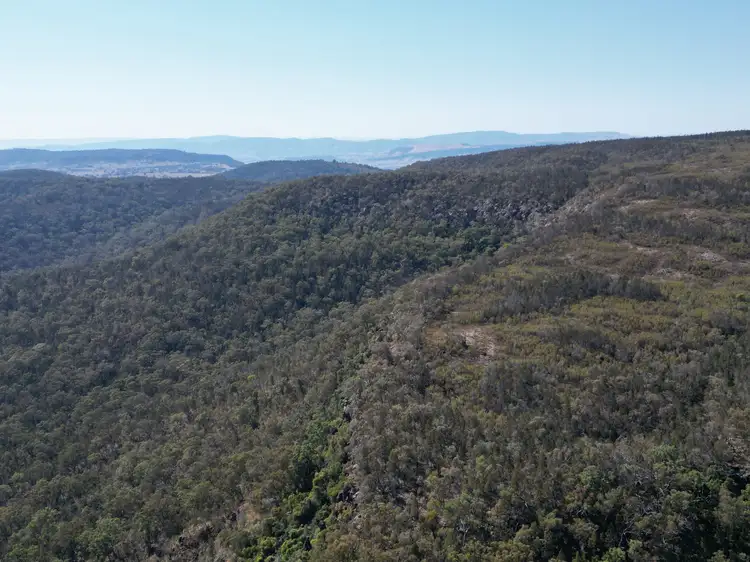 Fifth view of Homely rural property listing, "Mountain View", Berrigal NSW 2390