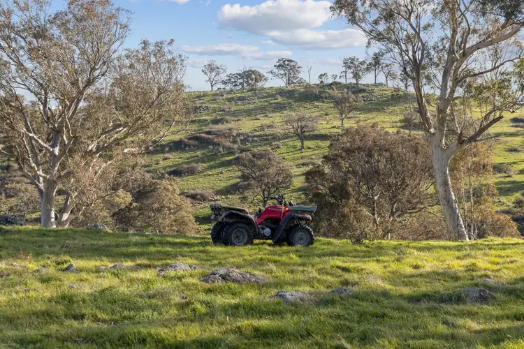 Fourth view of Homely rural property listing, "Beddulluck Hill" 47 Boundary Lane, Wallaroo NSW 2618