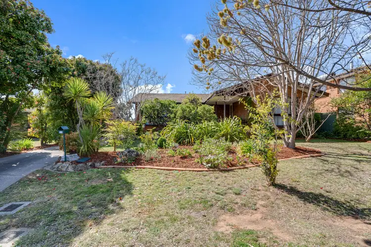 Main view of Homely house listing, 12 Bullock Circuit, Kambah ACT 2902