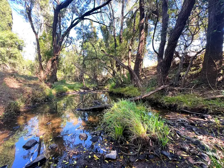 LOT 2 Pratts Road, Drinan QLD 4671
