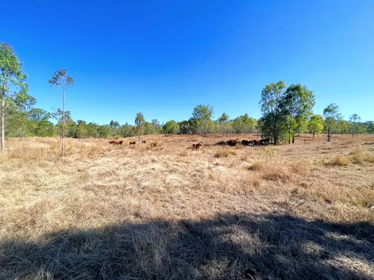 Seventh view of Homely land listing, LOT 2 Pratts Road, Drinan QLD 4671