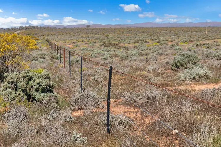 Second view of Homely rural property listing, Yendoran & Yappala Flinders Ranges Way, Hawker SA 5434