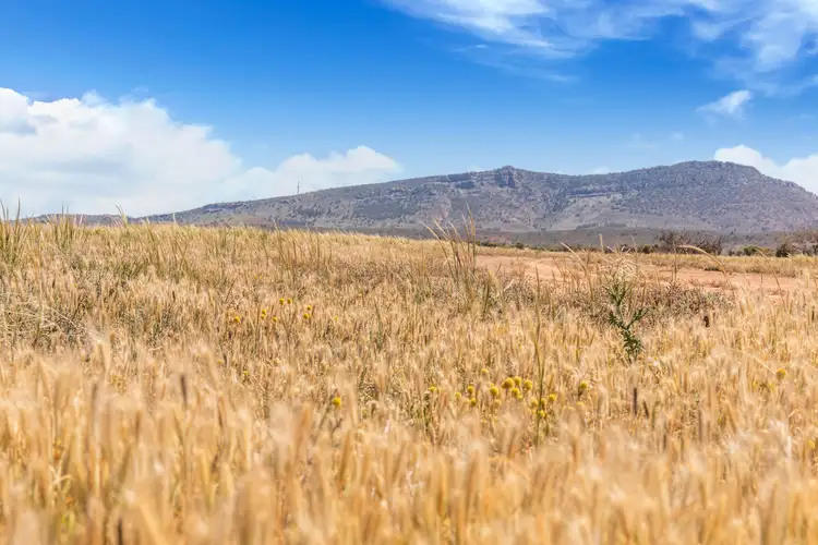 Fourth view of Homely rural property listing, Yendoran & Yappala Flinders Ranges Way, Hawker SA 5434