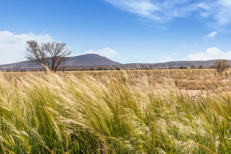 Sixth view of Homely rural property listing, Yendoran & Yappala Flinders Ranges Way, Hawker SA 5434