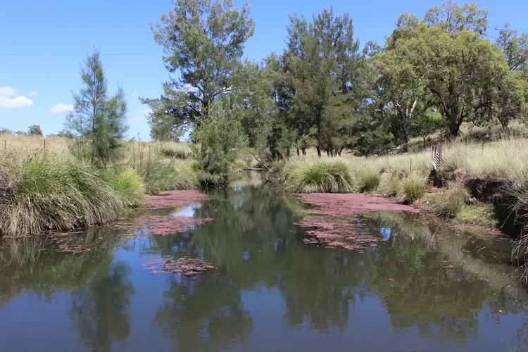 "High Valley" 243 Back Creek Road, Narrabri NSW 2390