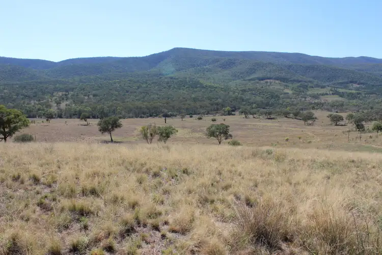Fourth view of Homely rural property listing, "High Valley" 243 Back Creek Road, Narrabri NSW 2390