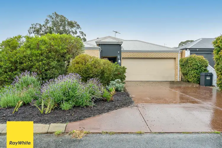 Main view of Homely house listing, 5/5 Tangmere Way, Balga WA 6061