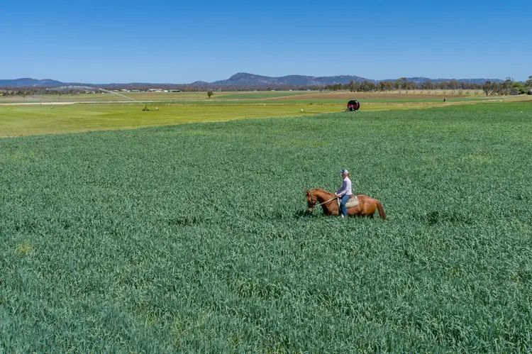 Second view of Homely rural property listing, 195 Wickham Road, Murrays Bridge QLD 4370
