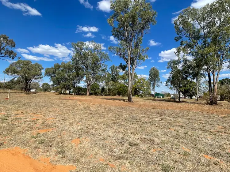 LOT 716, 19 Bedford Street, Torrens Creek QLD 4816