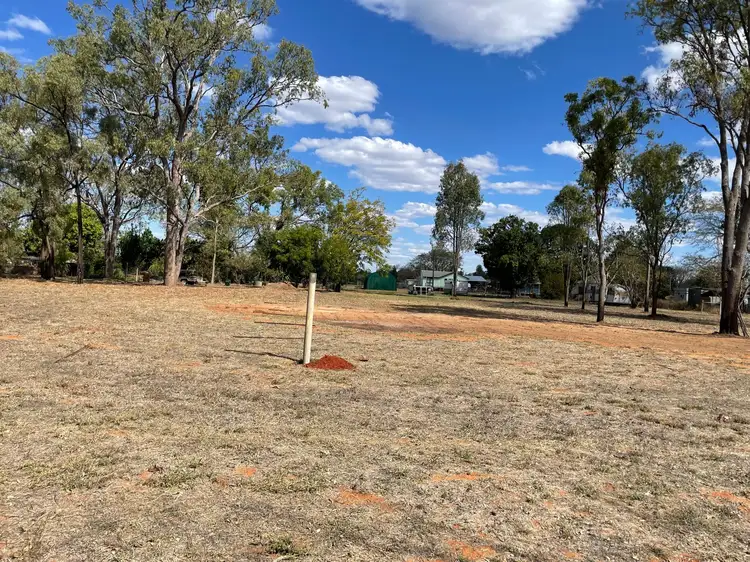 LOT 717, 21 Bedford Street, Torrens Creek QLD 4816