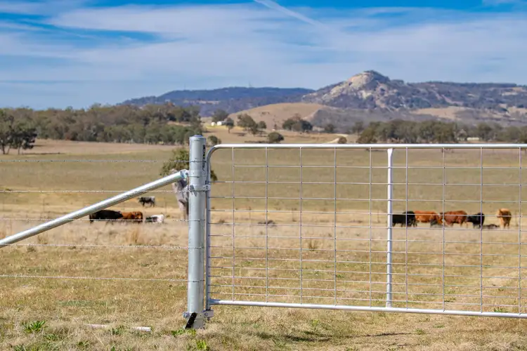 Third view of Homely rural property listing, 964A Bruxner Highway, Tenterfield NSW 2372