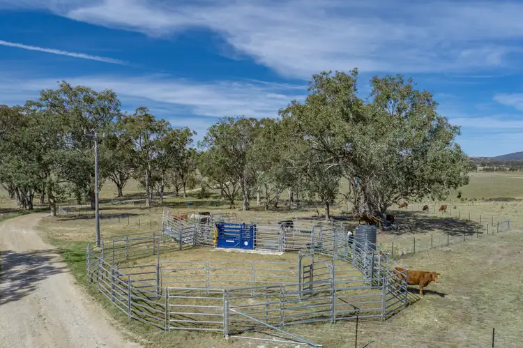 Fifth view of Homely rural property listing, 964A Bruxner Highway, Tenterfield NSW 2372