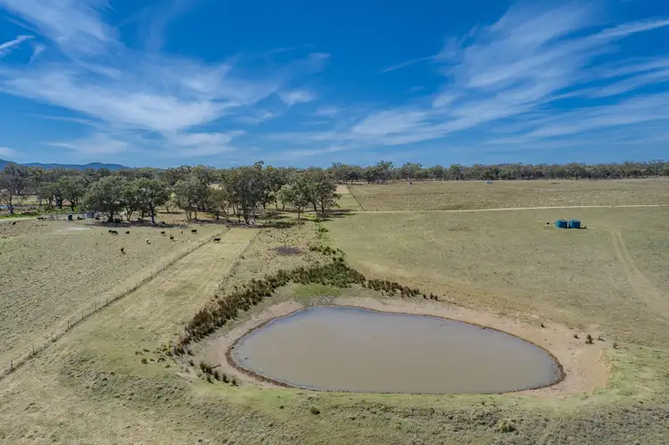 Sixth view of Homely rural property listing, 964A Bruxner Highway, Tenterfield NSW 2372