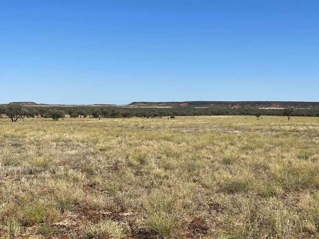Main view of Homely rural property listing, 0 Kennedy Development Road, Middleton QLD 4735