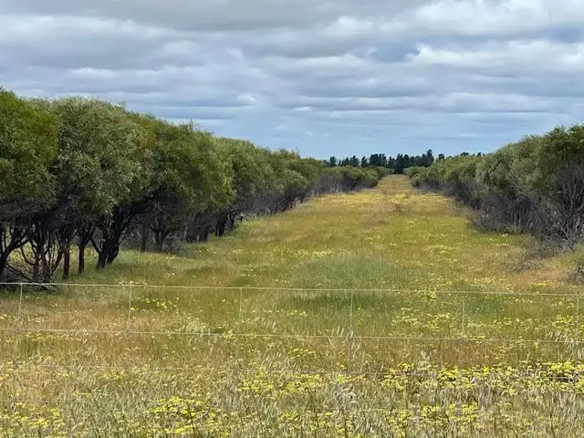 Main view of Homely rural property listing, Swithenbank A 384 Stones Road, Quairading WA 6383