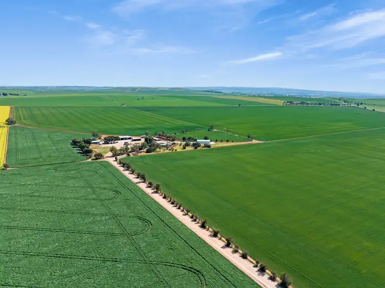 'Crawford Park' Caltowie-Georgetown Road, Georgetown SA 5472