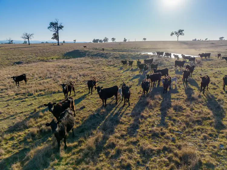Third view of Homely rural property listing, 1560 Summerhill Road, Cassilis NSW 2329