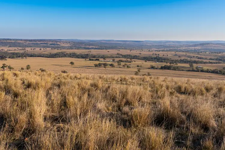 Fourth view of Homely rural property listing, 1560 Summerhill Road, Cassilis NSW 2329