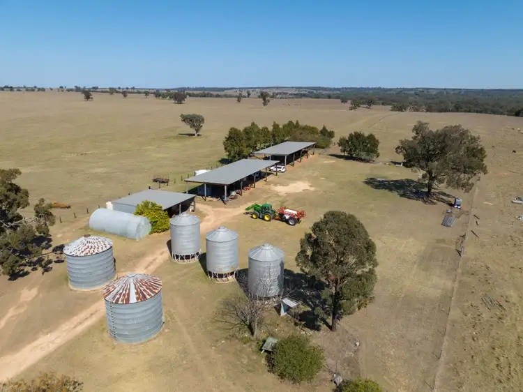 Fifth view of Homely rural property listing, 1560 Summerhill Road, Cassilis NSW 2329
