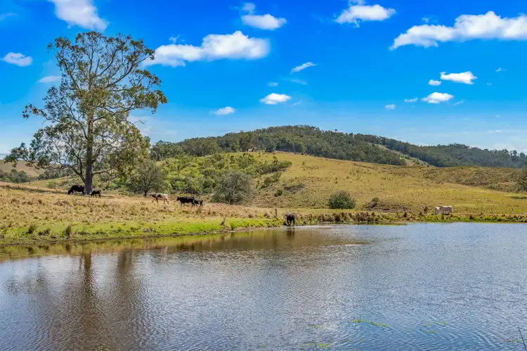 449 Glen William Road, Glen William NSW 2321