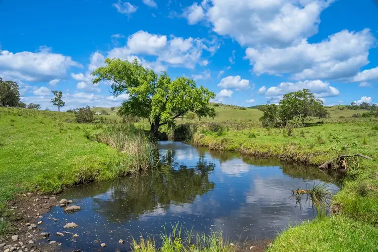 Fifth view of Homely rural property listing, 449 Glen William Road, Glen William NSW 2321