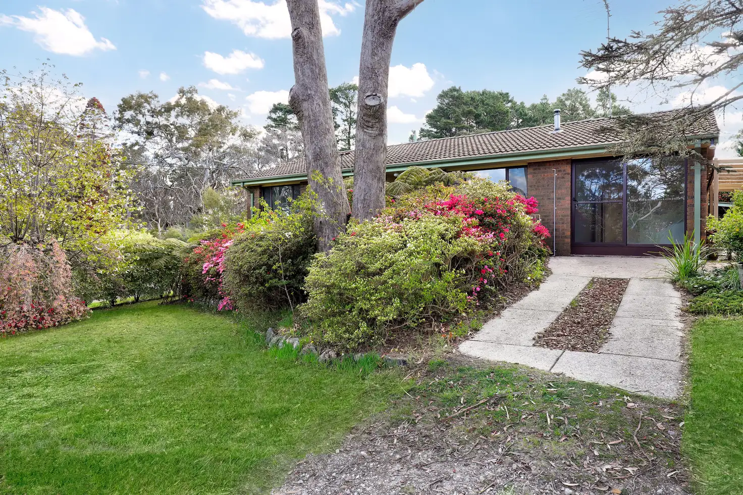 Main view of Homely house listing, 25 Goodare Street, Blackheath NSW 2785