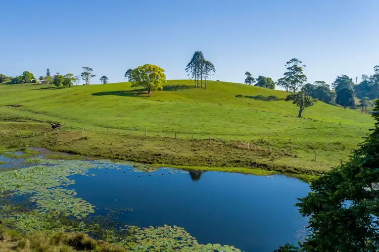 342 North Maleny Road, North Maleny QLD 4552