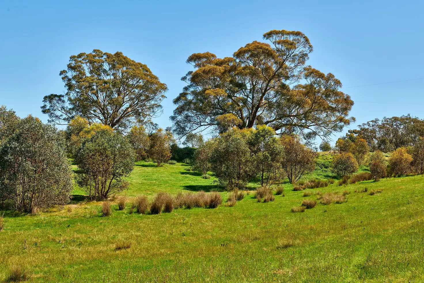 Main view of Homely land listing, CAB15D Spring Flat Road, Heathcote VIC 3523
