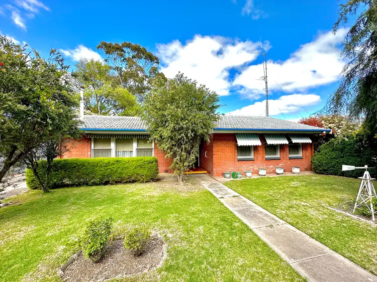 Main view of Homely house listing, 38 Victoria Parade, Bordertown SA 5268