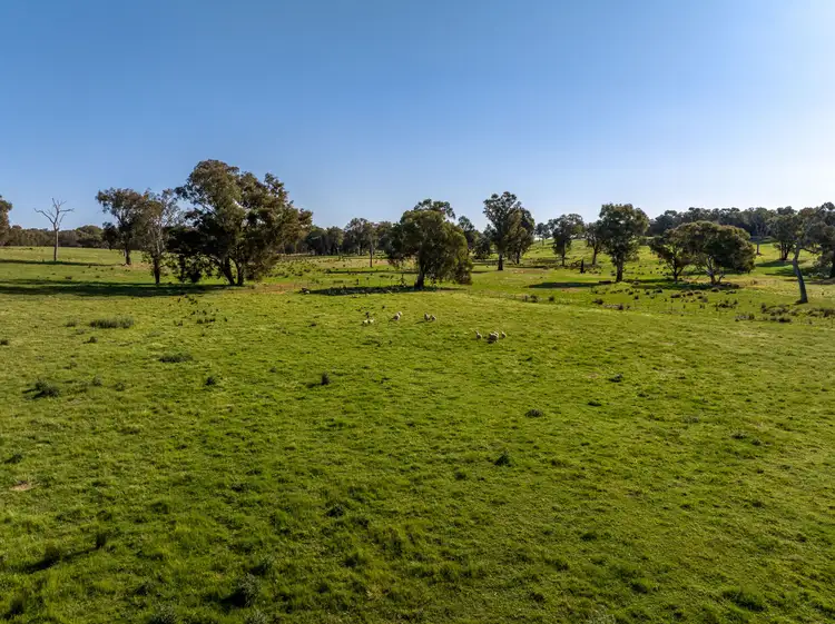 Main view of Homely rural property listing, 156 Comatawa Road, Tarcutta NSW 2652