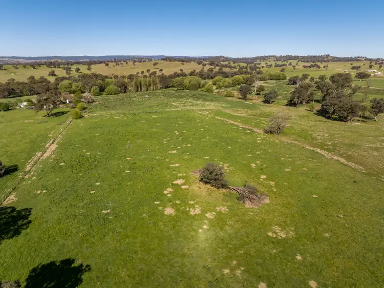 Fourth view of Homely rural property listing, 156 Comatawa Road, Tarcutta NSW 2652