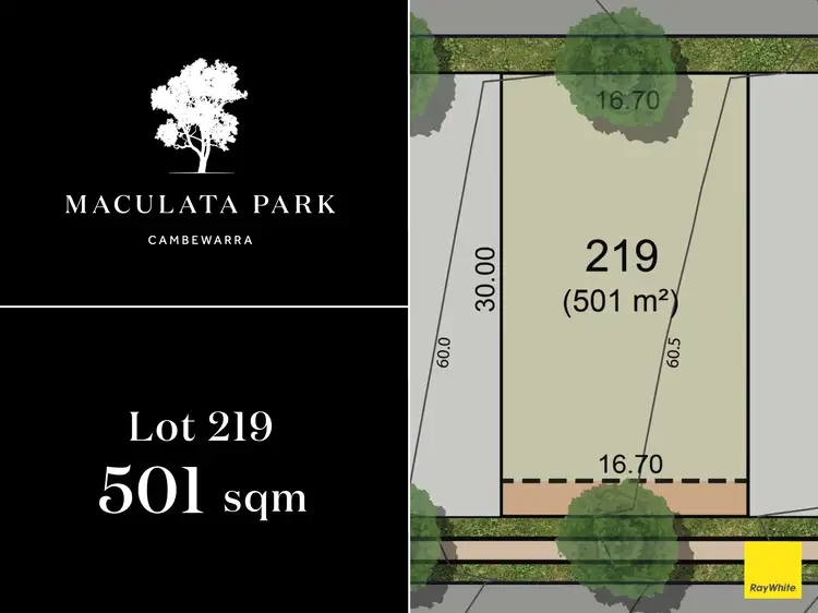 Lot 219, 'Maculata Park' 104 Taylors Lane, Badagarang NSW 2540