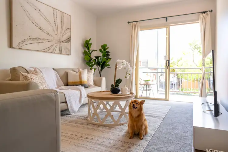 11/177 Angas Street, Adelaide SA 5000