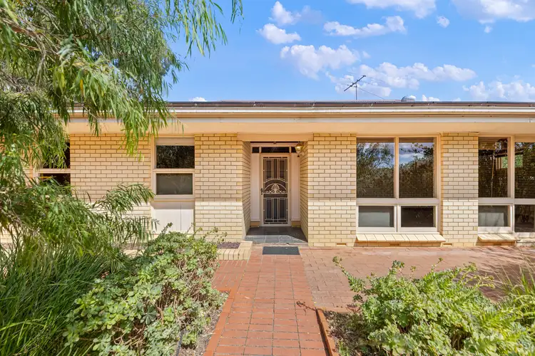 36 Waitara Road, Banksia Park SA 5091