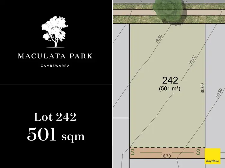 Main view of Homely land listing, Lot 242, 'Maculata Park' 104 Taylors Lane, Badagarang NSW 2540