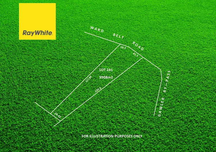 Main view of Homely land listing, LOT 241, 7 Ward Belt Road, Ward Belt SA 5118