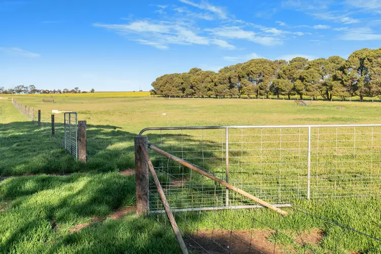 Fifth view of Homely rural property listing, 'Mangala' Carls Road, Mannanarie SA 5422