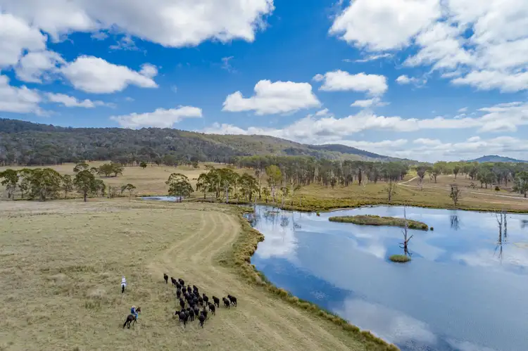 Second view of Homely rural property listing, 2792 Old Stanthorpe Road, Dalveen QLD 4374