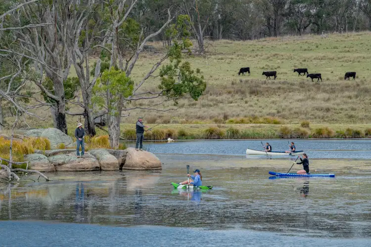 Third view of Homely rural property listing, 2792 Old Stanthorpe Road, Dalveen QLD 4374