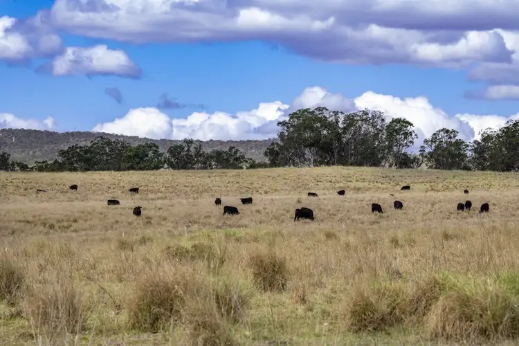 Fourth view of Homely rural property listing, 2792 Old Stanthorpe Road, Dalveen QLD 4374