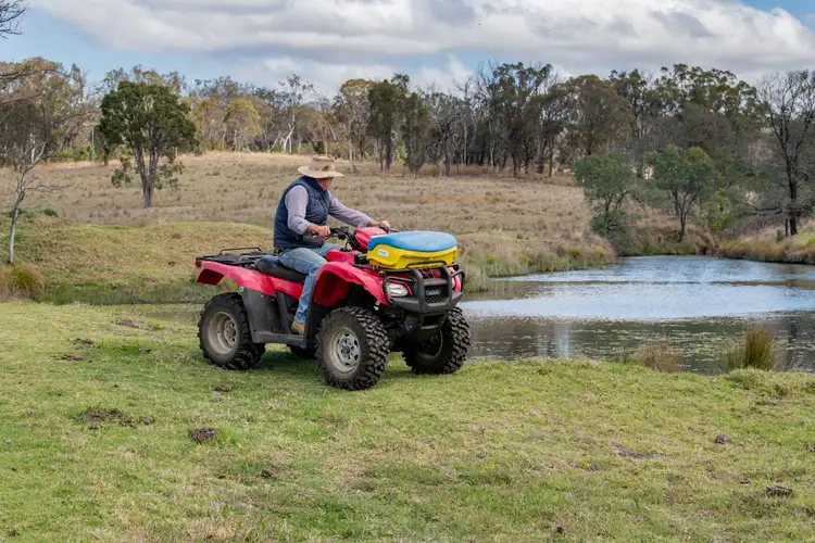 Sixth view of Homely rural property listing, 2792 Old Stanthorpe Road, Dalveen QLD 4374