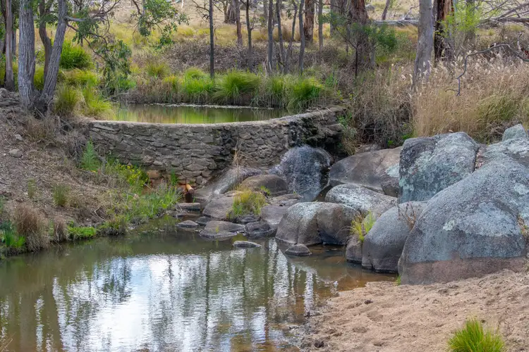Seventh view of Homely rural property listing, 2792 Old Stanthorpe Road, Dalveen QLD 4374