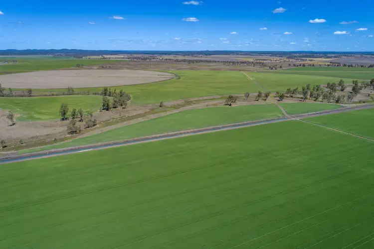 Fifth view of Homely rural property listing, 0 Millmerran Leyburn Road, Tummaville QLD 4352