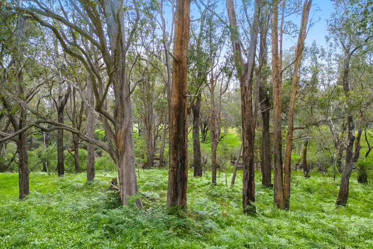 Sixth view of Homely rural property listing, 150 Bogadillup Road, Nannup WA 6275