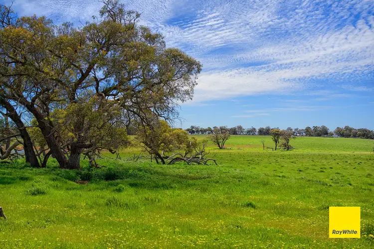 Fourth view of Homely land listing, Lot 1537 Fisher Road, Mount Barker WA 6324