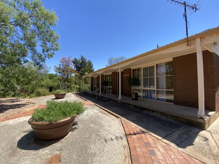 Main view of Homely house listing, 7 Whiting Street, Stirling North SA 5710