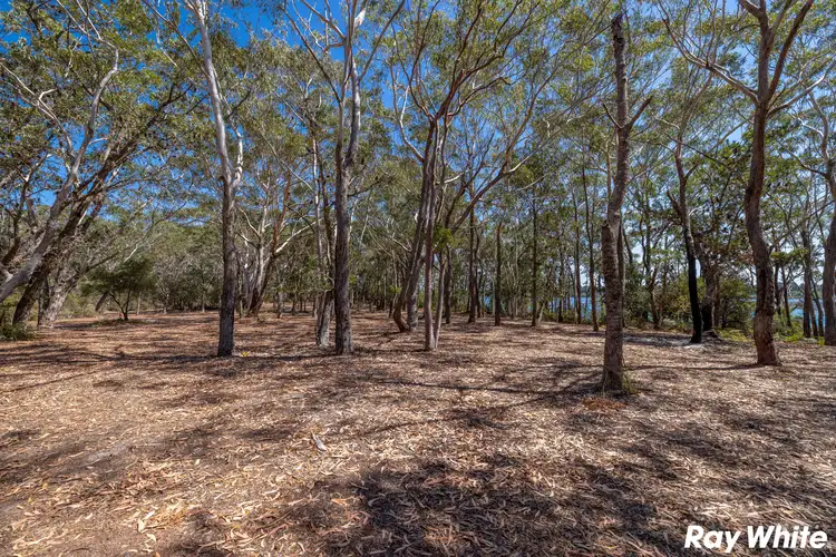 Sixth view of Homely land listing, 97 Wallis Island, Wallis Lake NSW 2428